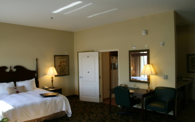 Hampton Inn & Suites Del Rio, Tx