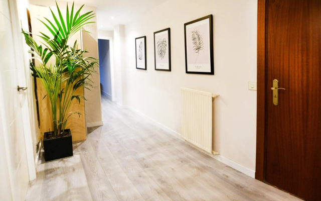 Luxury Cercas Bajas Vitoria