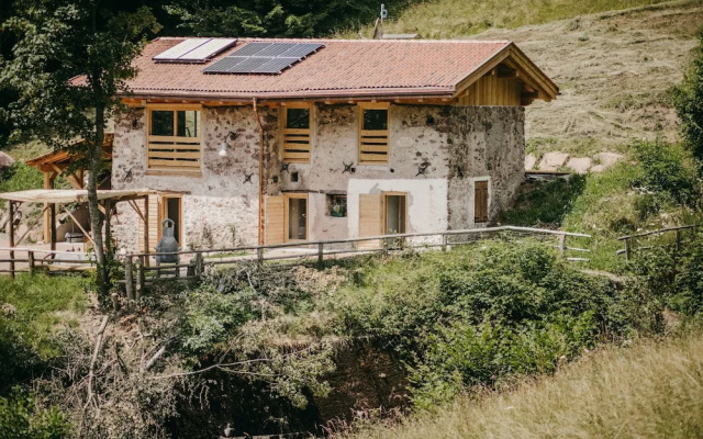Maso nel bosco