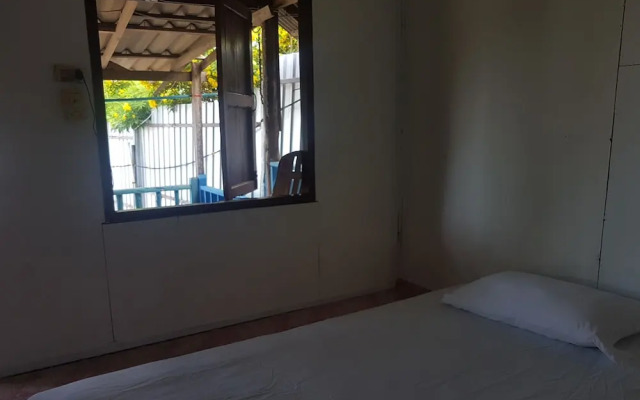 Back to Nature Hut