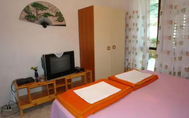 Apartment ANTON