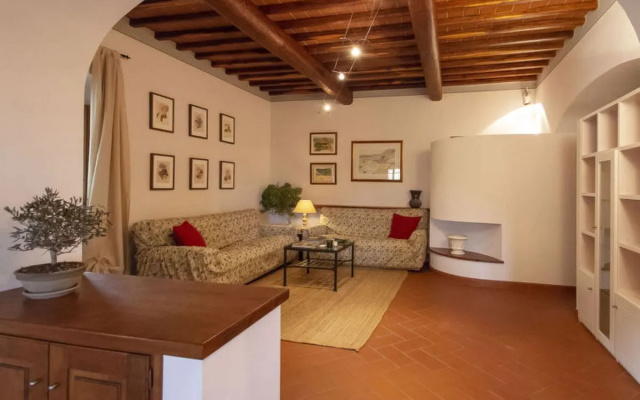Corbezzolo 30596