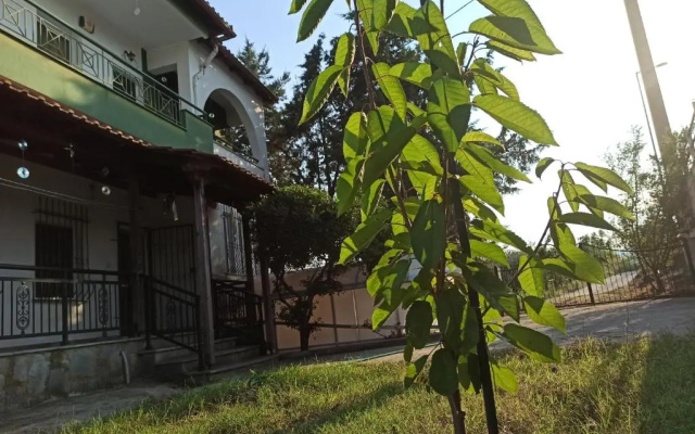 2km from Ammolofi! Solitary - Calm - Spacious - Introductory Price