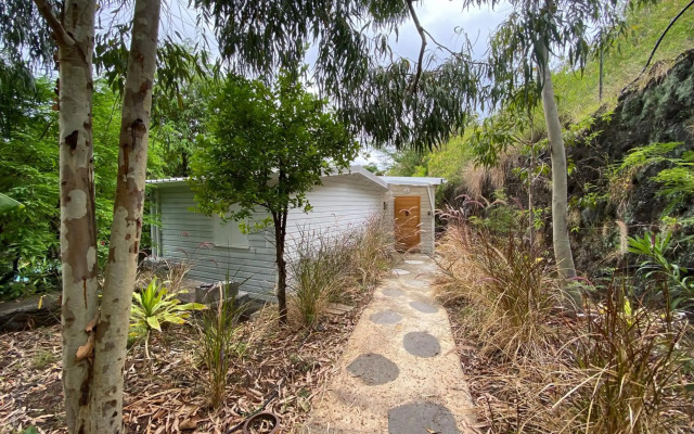 Lodge Nature