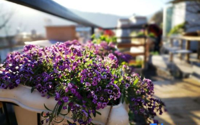 Xichang Yunye Homestay
