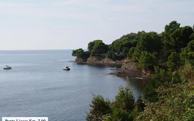 Micheletto