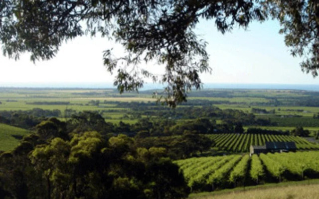 Willunga House