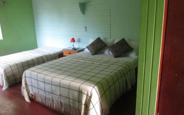 Hotel Flemming Tree