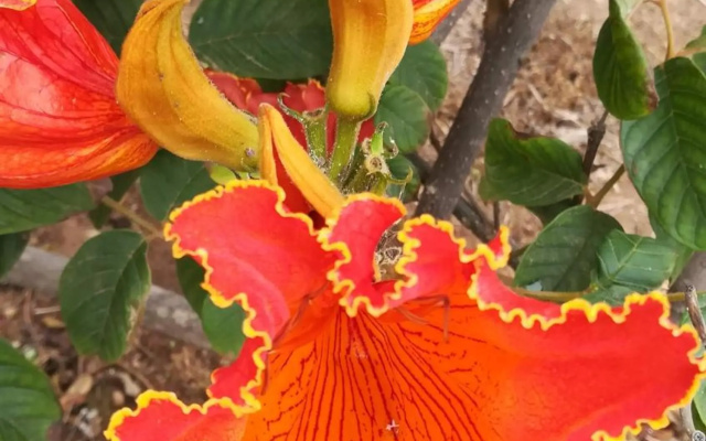 Finca La Punta