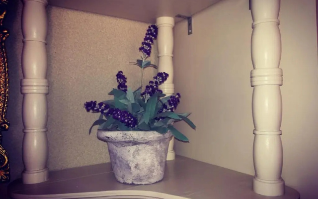 Apartment Ines