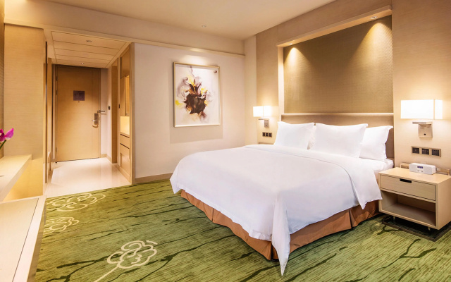 Holiday Inn Chongqing University Town