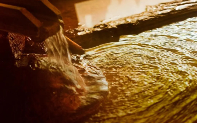 Shin Appi Onsen Seiryukaku