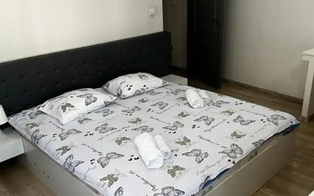 Apartament 3 Central