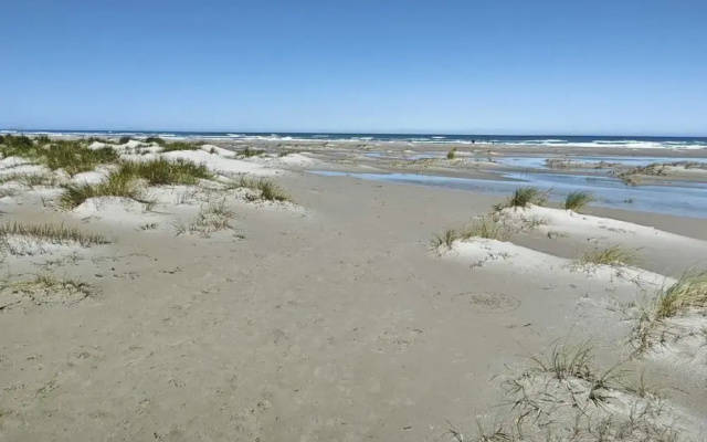4 Star Holiday Home in Albaek