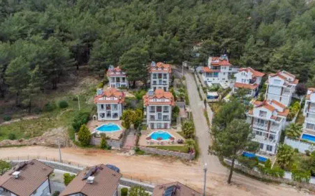 Olympia Villa 1