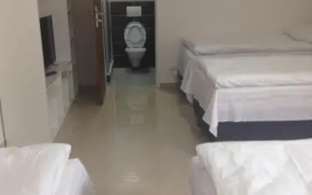 Bambus zahrada