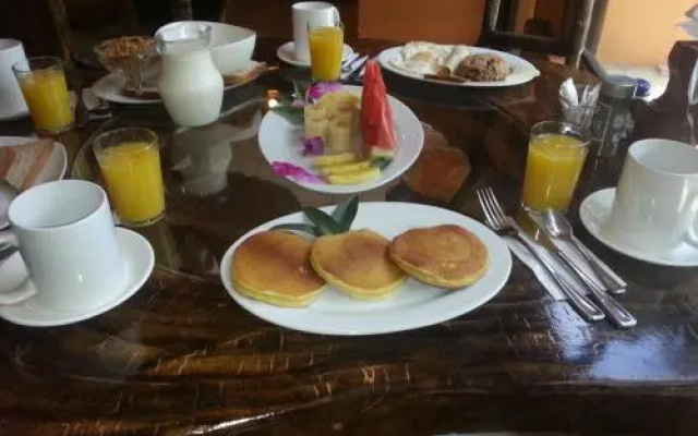 Monteverde Villa Lodge