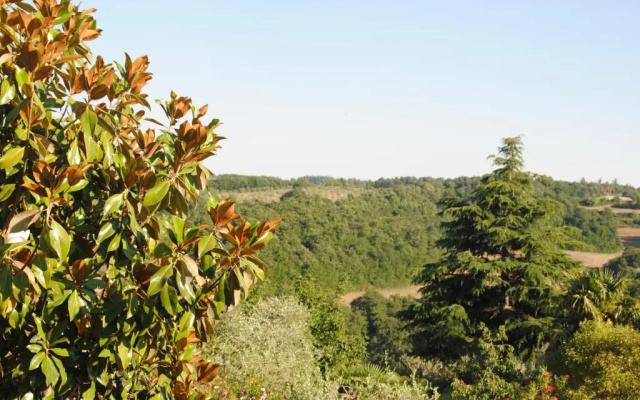 Il gelsomino del Perugino