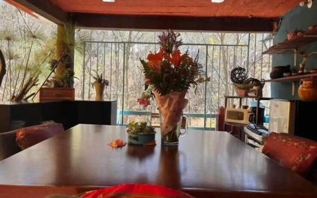 Casa Grey