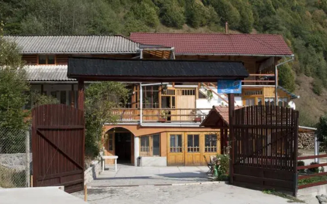 Pension Voicu