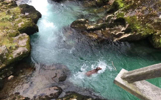 Steyr River Lodge