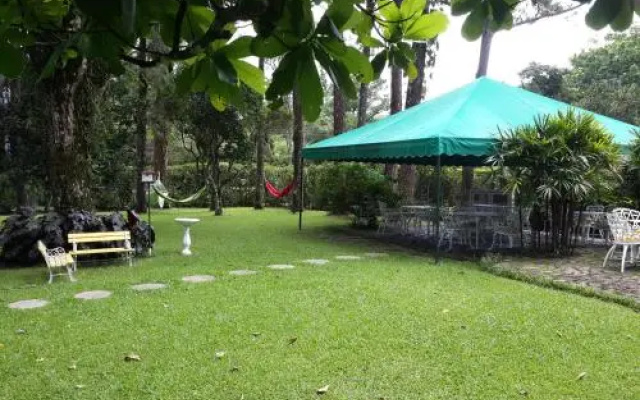 Park Eden Bed & Breakfast