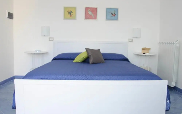 B&B Aurora
