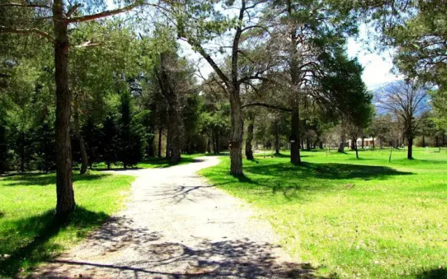 Camping de lIle