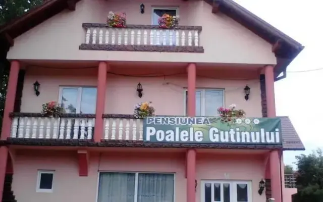 Pensiunea Poalele Gutinului