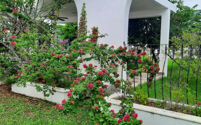 Mayakoba Gardens