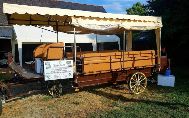 Les Chevaux De L'Hippocampe