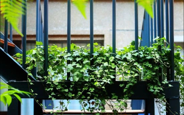 xiamen Yanxi Vacation Homestay