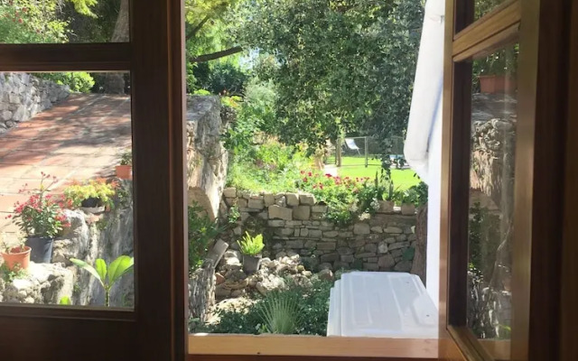 El Estanque y El Almendro