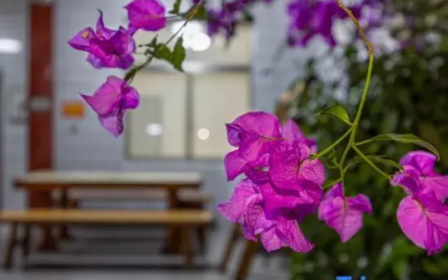 Tiantai Xiangtu Homestay (Guoqing Temple Scenic Area Branch)