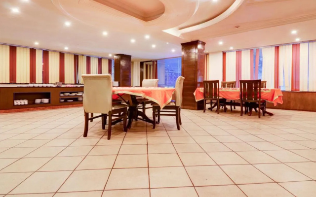 Treebo Calista, Patel Nagar
