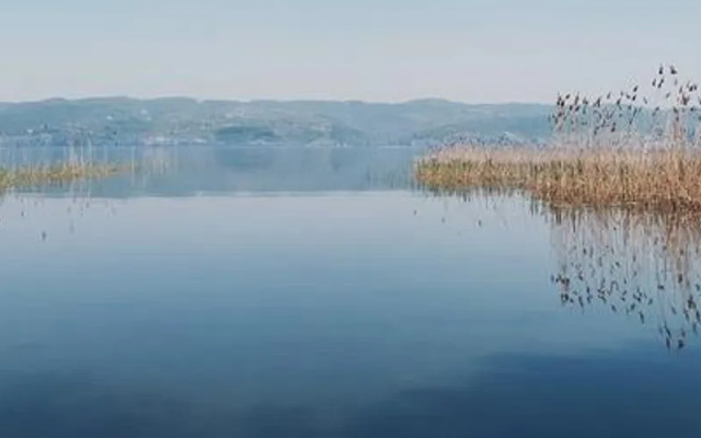 Alcedo Bungalov