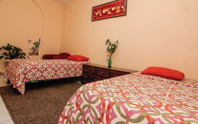876 JA Oasis by Kingston Airport