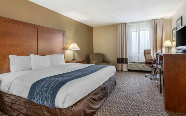 Comfort Inn Indianapolis South