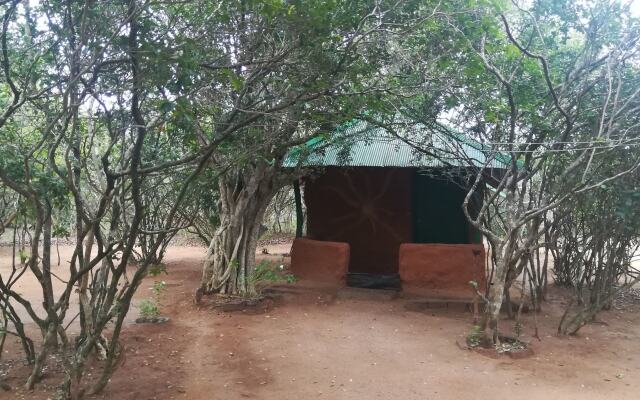 Отель Yala Wild House вид на фасад