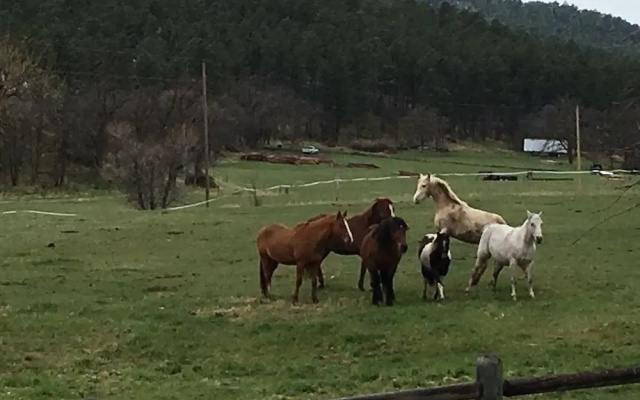 Ghost Canyon Guest Ranch & B&B
