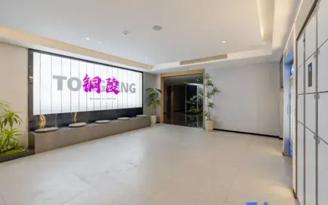 Lisi Future Hotel (Tongling Beidouxing City Government)