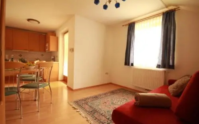 Ski In/Ski Out Appartements Tritscher