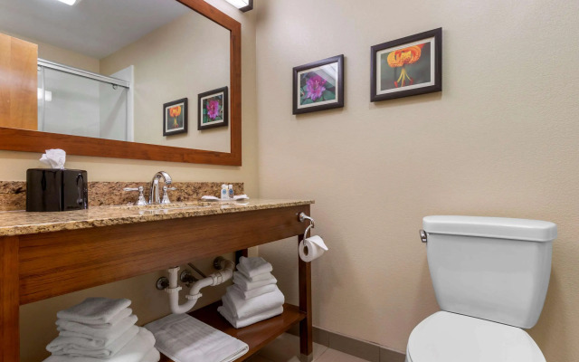 Comfort Suites Boone - University Area