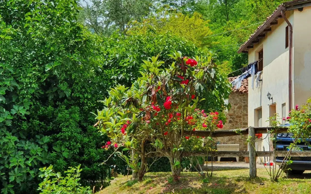 Giardino Dei Fiori