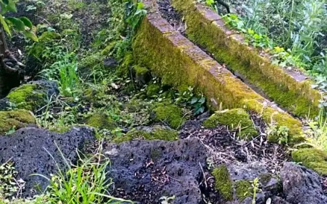 Il Giardino di Galatea