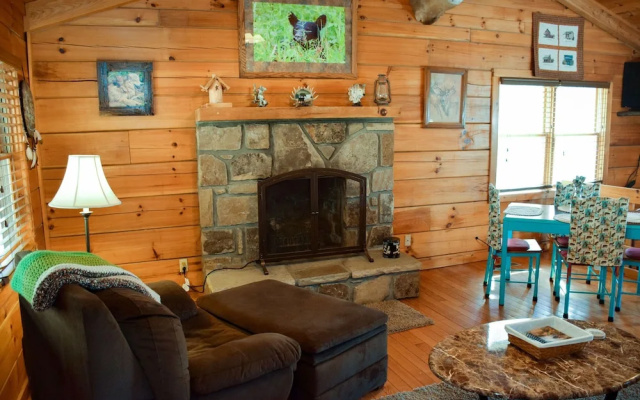 BEAR HINEY HANGOUT - 2 Br Cabin