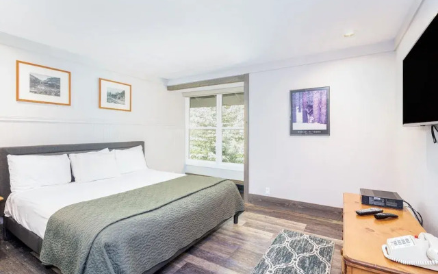 Mountainside Inn 213 1 Bedroom Condo by Alpine Lodging Telluride
