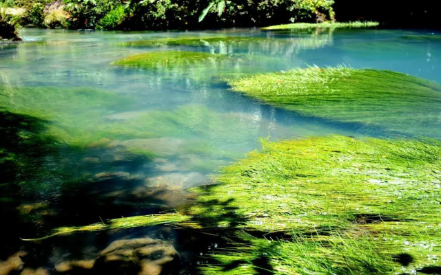 Vocaré Agroecoturismo