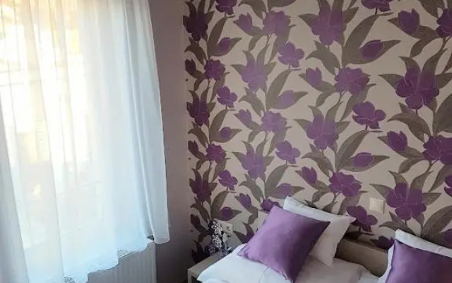 Silver Lodge Apartment 1 Eger
