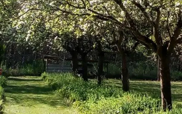 Au jardin de Grand-Père